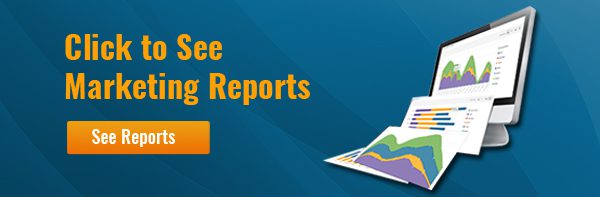 See Our Marketing Reports